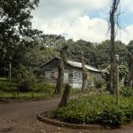 Строительство домов и бань из клееного бруса