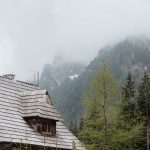 Строительство домов из клееного бруса