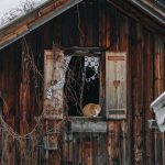 Строительство деревянных домов и бань из клееного бруса