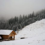 Строительство домов из клееного бруса