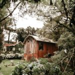 Строительство домов из клееного бруса