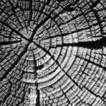 Строительство домов из клееного бруса под ключ