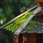 Дома из клееного бруса от производителя в Екатеринбурге