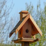 Строительство домов из бруса