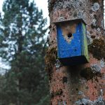 Строительство домов из бруса под ключ в Екатеринбурге