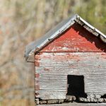 Строительство домов из клееного бруса