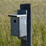 Строительство домов из клееного бруса под ключ в Екатеринбурге