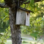 Строительство домов из бруса под ключ в Екатеринбурге