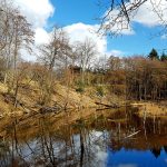 Строительство бань из клееного бруса