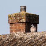 Строительство бань из клееного бруса под ключ в Екатеринбурге