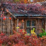 Строительство домов из клееного бруса