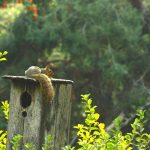 Строительство домов из клееного бруса в Екатеринбурге