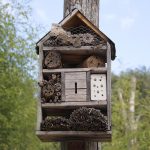 Строительство домов из клееного бруса