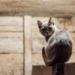 Баня из клееного бруса под ключ в Екатеринбурге