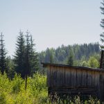 Строительство домов из профилированного бруса