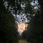 Строительство домов из клееного бруса под ключ в Екатеринбурге