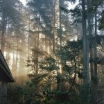 Бани из клееного бруса под ключ в Екатеринбурге