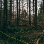 Строительство домов из бруса в Екатеринбурге