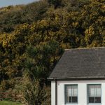 Дома из клееного бруса под ключ в Екатеринбурге