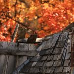 Производство и строительство домов из клееного бруса в Екатеринбурге