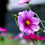 Строительство домов из клееного бруса под ключ