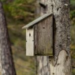 Производство и строительство домов из клееного бруса