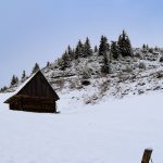 Строительство деревянных домов под ключ в Екатеринбурге