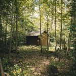 Производство и строительство домов из клееного бруса