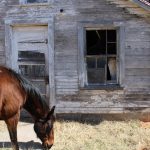 Строительство домов из клееного бруса под ключ в Екатеринбурге