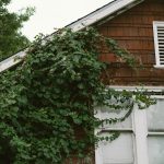 Строительство домов из клееного бруса под ключ в Екатеринбурге