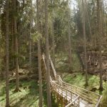 Строительство домов из клееного бруса